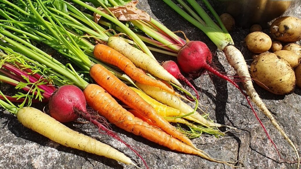 What we eat, what we breathe: a collaborative fight for better breathing
